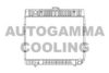 AUTOGAMMA 100532 Radiator, engine cooling